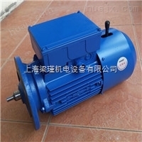 清华紫光刹车电机-BMD7124-清华紫光异步电动机