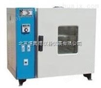 电热恒温干燥箱HAD-FX202-00