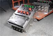 BXD8061-4/100K320不锈钢防爆动力配电箱