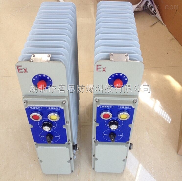 BDR-1500W/220V电加热防爆油汀防爆电暖气批发价