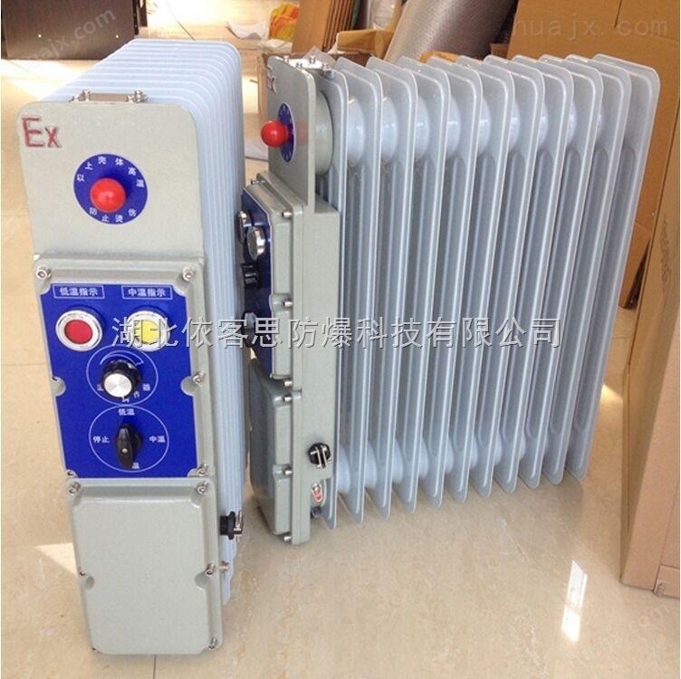 隔爆型电热取暖器BYT-1500W防爆电暖气取暖机