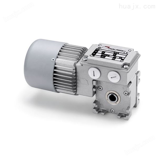 意大利Mini Motor MCC系列蜗轮蜗杆电机