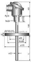 66RFS型法兰式铂电阻温度传感器-INOR