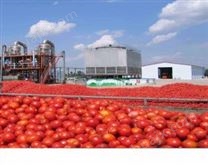 番茄醬生產線2