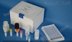 大鼠TNFα检测试剂盒