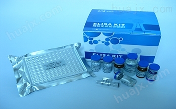 人甲胎蛋白ELISA试剂盒