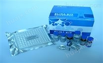 内脂素蛋白检测试剂盒,visfatin试剂盒