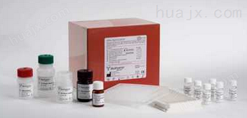 Ⅰ型胶原C端肽检测试剂盒,CTX-Ⅰ试剂盒