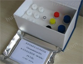 小鼠S100A9检测试剂盒