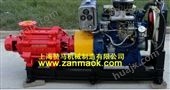 ZM100DJ-85-180上海赞马180米高扬程柴油机多级泵,柴油水泵,防汛*