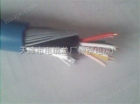 电源电缆ZA-RVV22 RVS电缆规格
