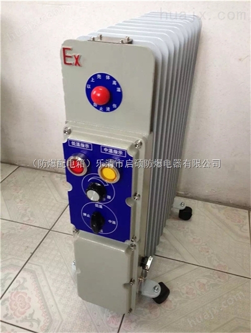 BXY58-1500/11防爆电暖器