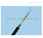 多模光纤GYTS-12A1光缆厂家北京参加