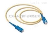 北京SC型光纤跳线,SC-SC-3M,跳线现货供应