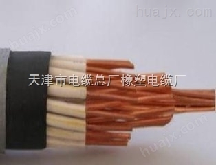 天津电缆DJYVP计算机电缆 2*2*0.75