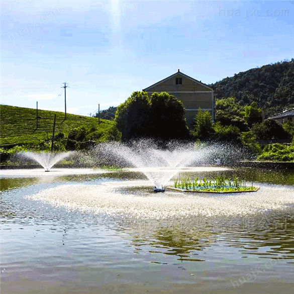 自然景观湖水治理喷泉曝气机