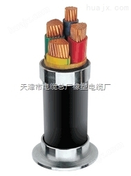 天津专业矿用交联电力电缆 MYJV3*35+1*16价格