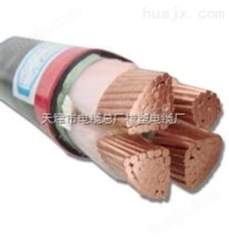 电力电缆WDZN-YJV 低烟无卤电缆WDZN-YJV-2*16规格型号