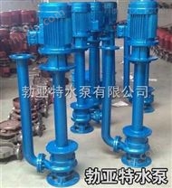 江苏省盐城市 矿用 立式排污泵 潜水泵 大型水泵 生产厂家